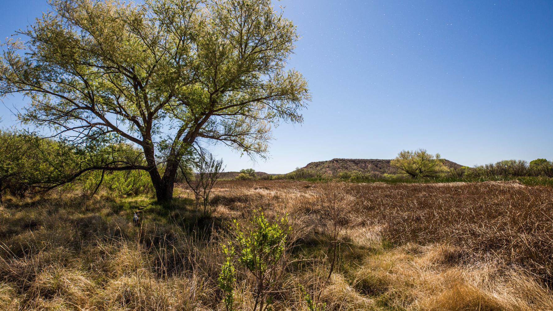 Ex-federal official: 'I got rolled' by Trump administration to ease way for Vigneto housing development
